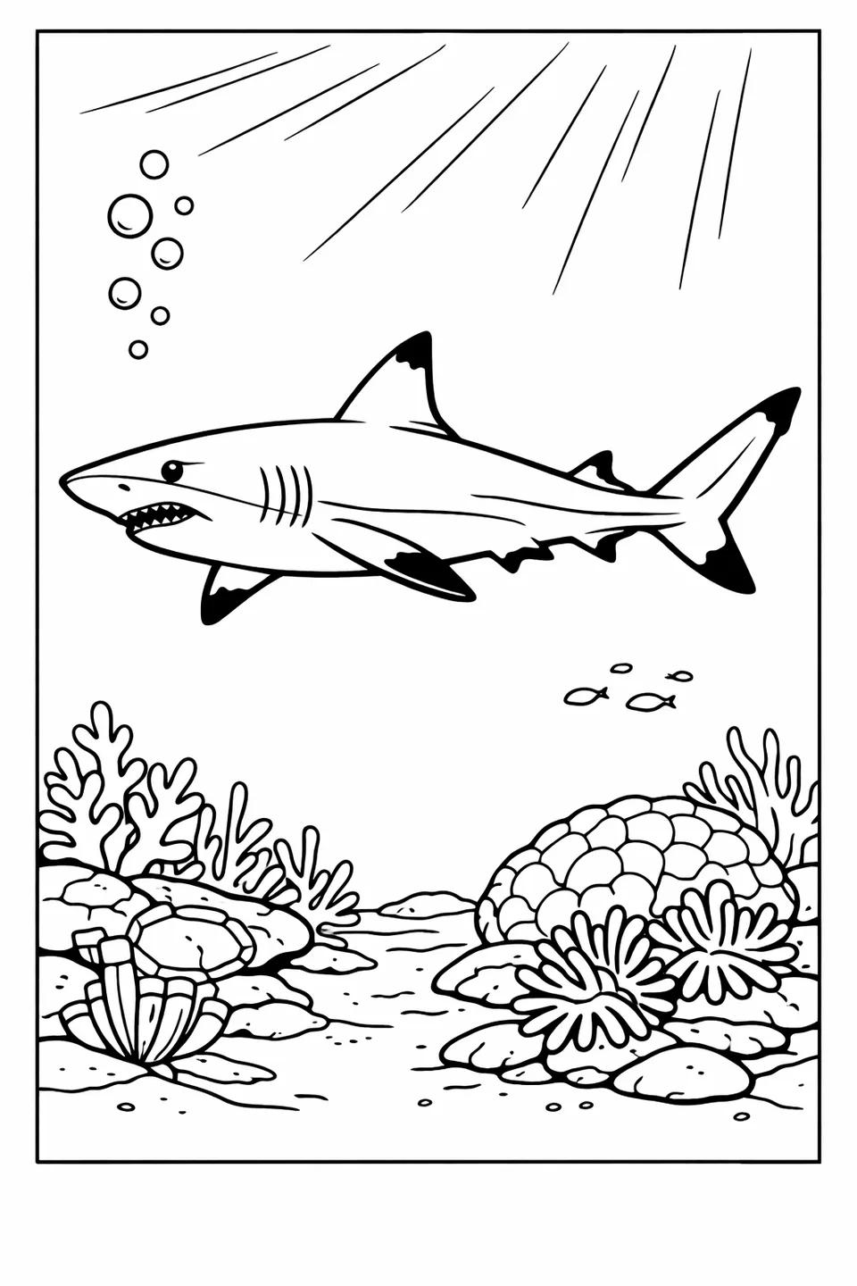 Blacktip reef shark with black-tipped dorsal and pectoral fins swimming over a coral reef with sea anemones in turquoise water