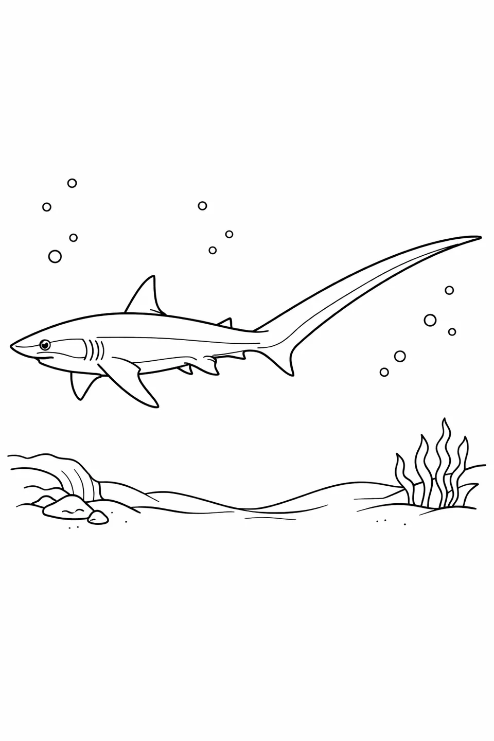 Thresher shark in side profile with very long upper tail lobe, small mouth, and bioluminescent particles in deep dark water